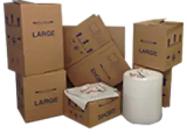 Self Pack 2