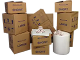 Self Pack 3